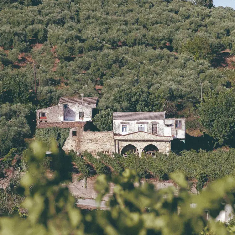 anoskeli-vineyards-crete
