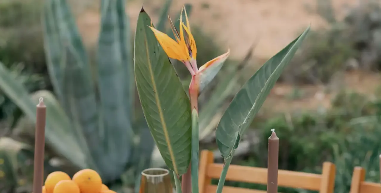 orange-proposal-weddingtalescrete.gr