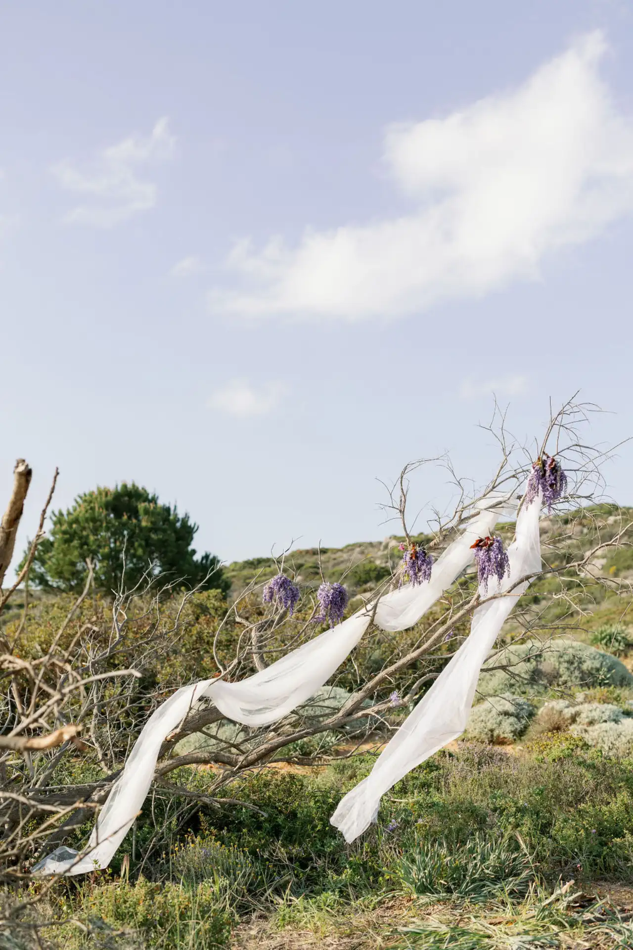 Purple-Elopement-weddingtalescrete (14)